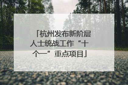 杭州发布新阶层人士统战工作“十个一”重点项目