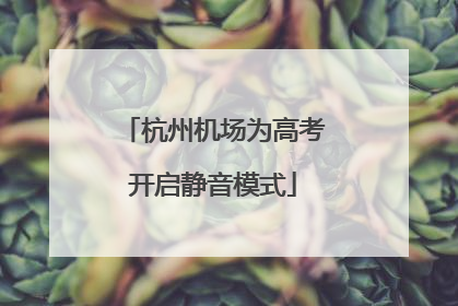 杭州机场为高考开启静音模式