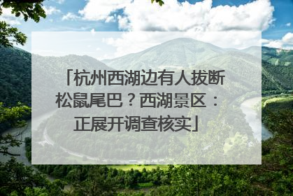 杭州西湖边有人拔断松鼠尾巴？西湖景区：正展开调查核实