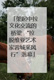 架起中拉文化交流的桥梁 “拉脱维亚艺术家蓉城采风行”落幕