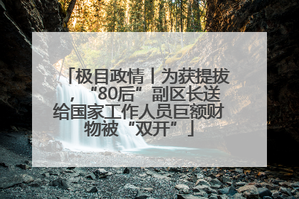 极目政情丨为获提拔，“80后”副区长送给国家工作人员巨额财物被“双开”