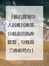 极右翼领导人因难民政策分歧退出执政联盟，导致荷兰政府垮台