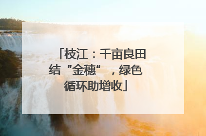 枝江：千亩良田结“金穗”，绿色循环助增收