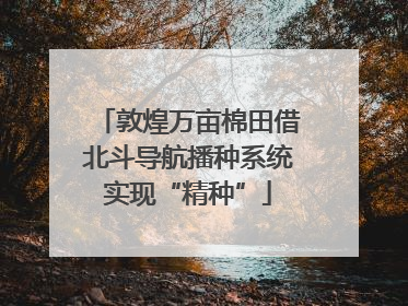敦煌万亩棉田借北斗导航播种系统实现“精种”