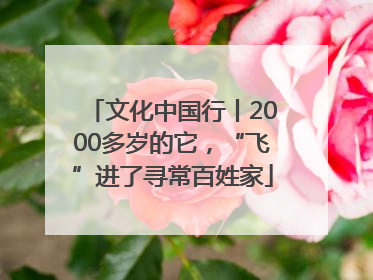 文化中国行丨2000多岁的它，“飞”进了寻常百姓家
