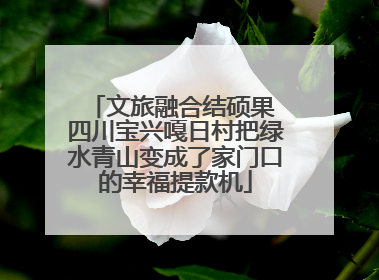 文旅融合结硕果 四川宝兴嘎日村把绿水青山变成了家门口的幸福提款机