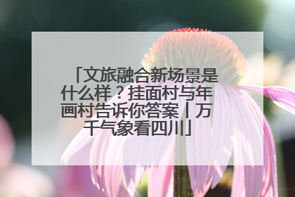 文旅融合新场景是什么样？挂面村与年画村告诉你答案丨万千气象看四川