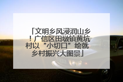 文明乡风浸润山乡！广信区田墩镇黄坑村以“小切口”绘就乡村振兴大图景