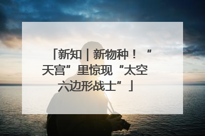 新知｜新物种！“天宫”里惊现“太空六边形战士”