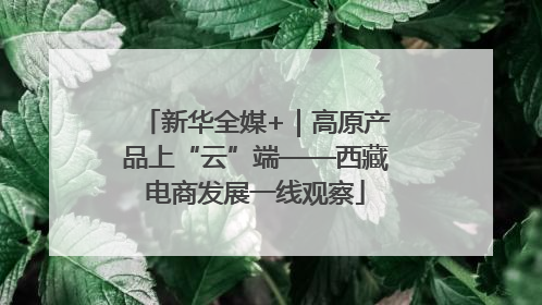 新华全媒+｜高原产品上“云”端——西藏电商发展一线观察