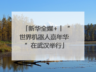 新华全媒+丨“世界机器人嘉年华”在武汉举行
