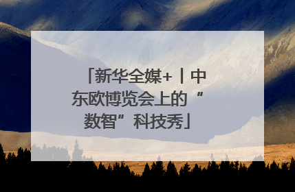 新华全媒+丨中东欧博览会上的“数智”科技秀