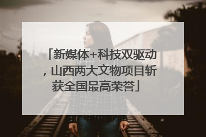 新媒体+科技双驱动，山西两大文物项目斩获全国最高荣誉