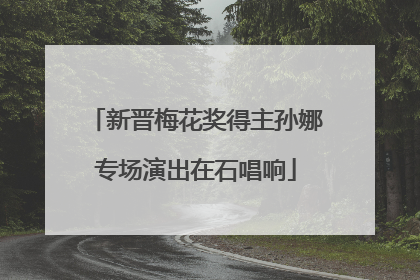 新晋梅花奖得主孙娜专场演出在石唱响
