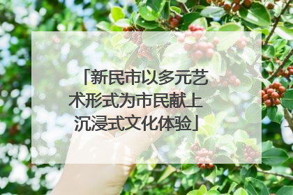 新民市以多元艺术形式为市民献上沉浸式文化体验