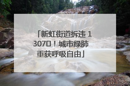 新虹街道拆违 1307㎡！城市绿肺重获呼吸自由