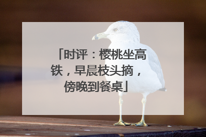 时评：樱桃坐高铁，早晨枝头摘，傍晚到餐桌