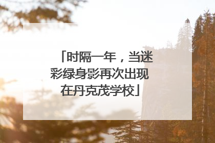 时隔一年，当迷彩绿身影再次出现在丹克茂学校