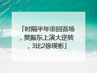 时隔半年重回赛场，樊振东上演大逆转，3比2徐瑛彬
