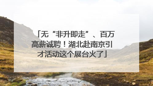 无“非升即走”、百万高薪诚聘！湖北赴南京引才活动这个展台火了
