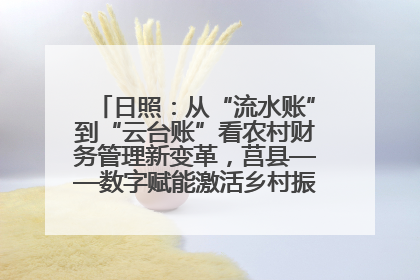 日照：从“流水账”到“云台账”看农村财务管理新变革，莒县——数字赋能激活乡村振兴“一池春水”