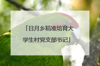 日月乡精准培育大学生村党支部书记