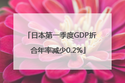 日本第一季度GDP折合年率减少0.2%