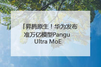 昇腾原生！华为发布准万亿模型Pangu Ultra MoE模型架构和训练细节