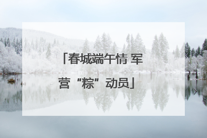 春城端午情 军营“粽”动员