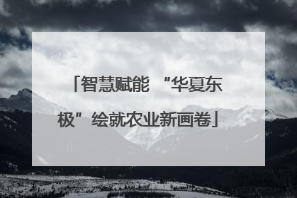 智慧赋能 “华夏东极”绘就农业新画卷