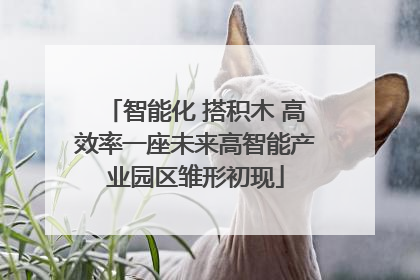 智能化 搭积木 高效率一座未来高智能产业园区雏形初现