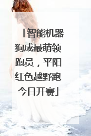 智能机器狗成最萌领跑员，平阳红色越野跑今日开赛