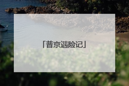 普京遇险记
