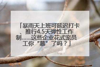 暴雨天上班可延迟打卡、推行4.5天弹性工作制……这些企业花式宠员工你“慕”了吗？