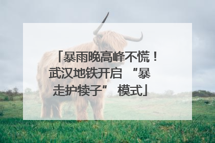 暴雨晚高峰不慌！武汉地铁开启 “暴走护犊子” 模式
