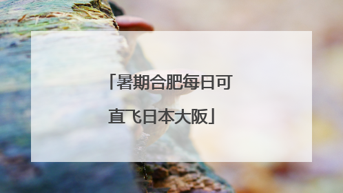 暑期合肥每日可直飞日本大阪