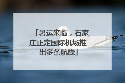 暑运来临，石家庄正定国际机场推出多条航线