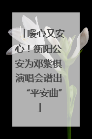 暖心又安心！衡阳公安为邓紫棋演唱会谱出“平安曲”