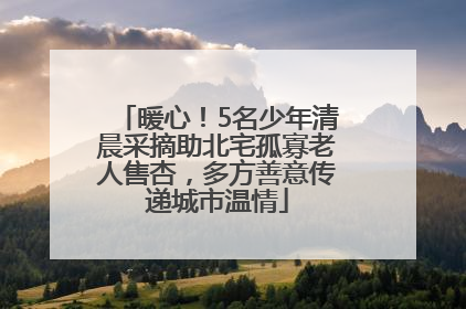 暖心！5名少年清晨采摘助北宅孤寡老人售杏，多方善意传递城市温情