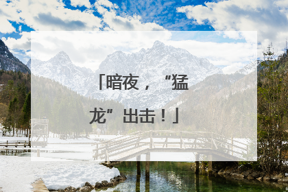 暗夜，“猛龙”出击！