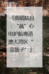 曲靖陆良：“蔬”心电护航粤港澳大湾区“菜篮子”