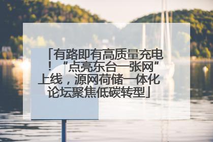 有路即有高质量充电！“点亮东台一张网”上线，源网荷储一体化论坛聚焦低碳转型