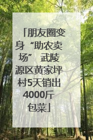 朋友圈变身“助农卖场” 武陵源区黄家坪村5天销出4000斤包菜
