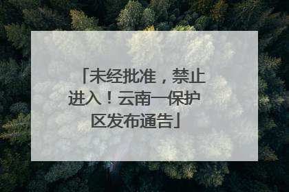 未经批准，禁止进入！云南一保护区发布通告