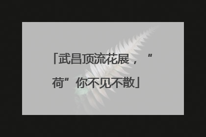 武昌顶流花展，“荷”你不见不散