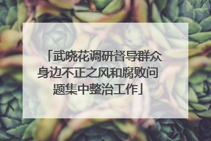 武晓花调研督导群众身边不正之风和腐败问题集中整治工作