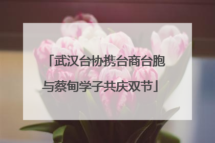 武汉台协携台商台胞与蔡甸学子共庆双节