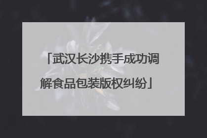 武汉长沙携手成功调解食品包装版权纠纷