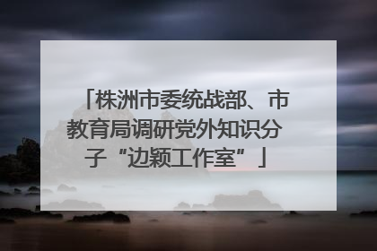 株洲市委统战部、市教育局调研党外知识分子“边颖工作室”