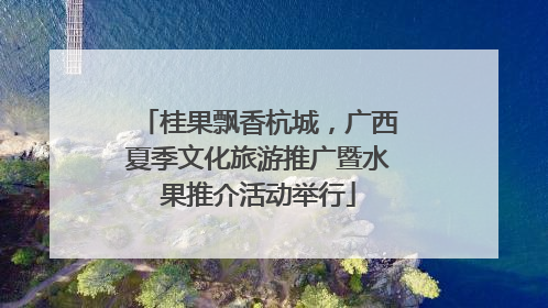 桂果飘香杭城，广西夏季文化旅游推广暨水果推介活动举行